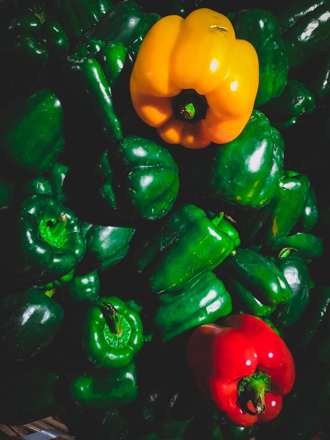 Capsicum & Chilli