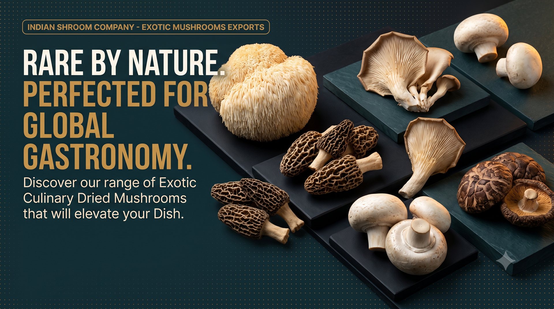 Rare by nature, perfected for global gastronomy — Indian Shroom Company exotic dried mushroom exports
